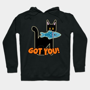 Cat fishing got you Hoodie